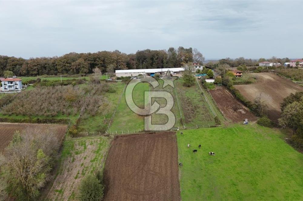 Kaynarca-Turnalı'da Kat İrtifak Projeli Tripleks Villa Arsası