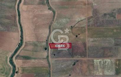 MUĞLA SEYDİKEMERDE SATILIK 1.670 m2 TARLA