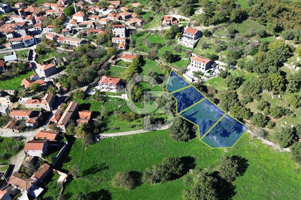 AYVACIK SÖĞÜTLÜ KÖY İÇİNDE İMARLI SATILIK ARSA