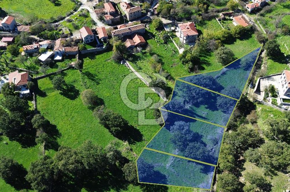 AYVACIK SÖĞÜTLÜ KÖY İÇİNDE İMARLI SATILIK 437 m² ARSA