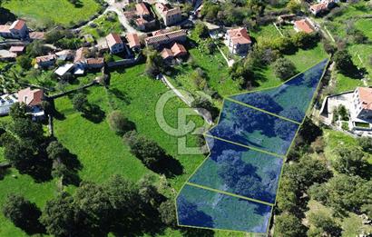 AYVACIK SÖĞÜTLÜ KÖY İÇİNDE İMARLI SATILIK 437 m² ARSA