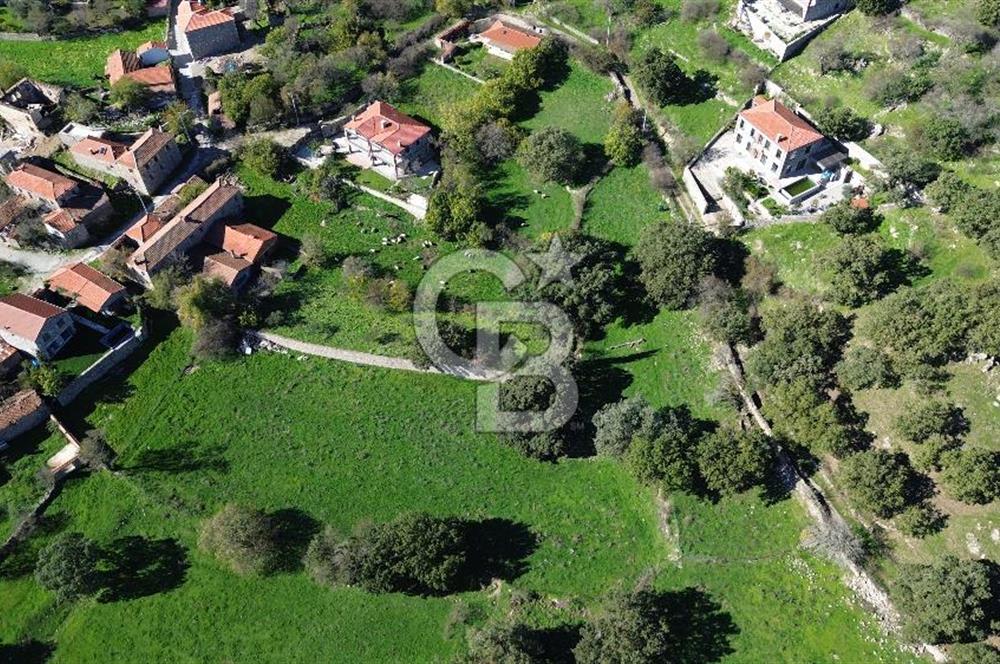 AYVACIK SÖĞÜTLÜ KÖY İÇİNDE İMARLI SATILIK ARSA