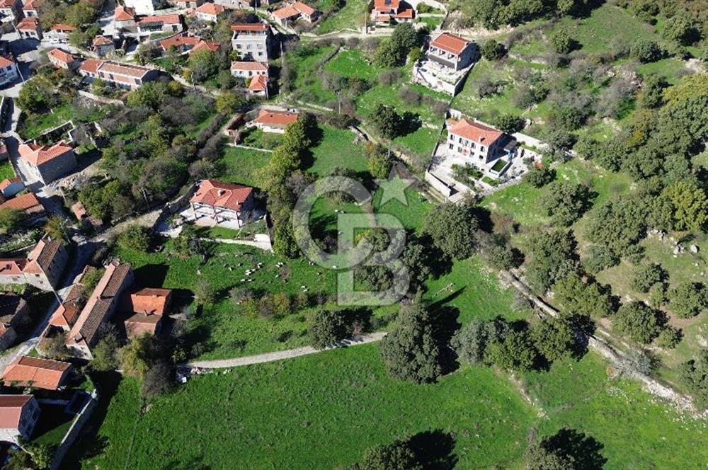 AYVACIK SÖĞÜTLÜ KÖY İÇİNDE İMARLI SATILIK 437 m² ARSA