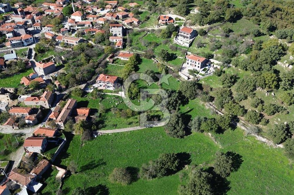 AYVACIK SÖĞÜTLÜ KÖY İÇİNDE İMARLI SATILIK 437 m² ARSA