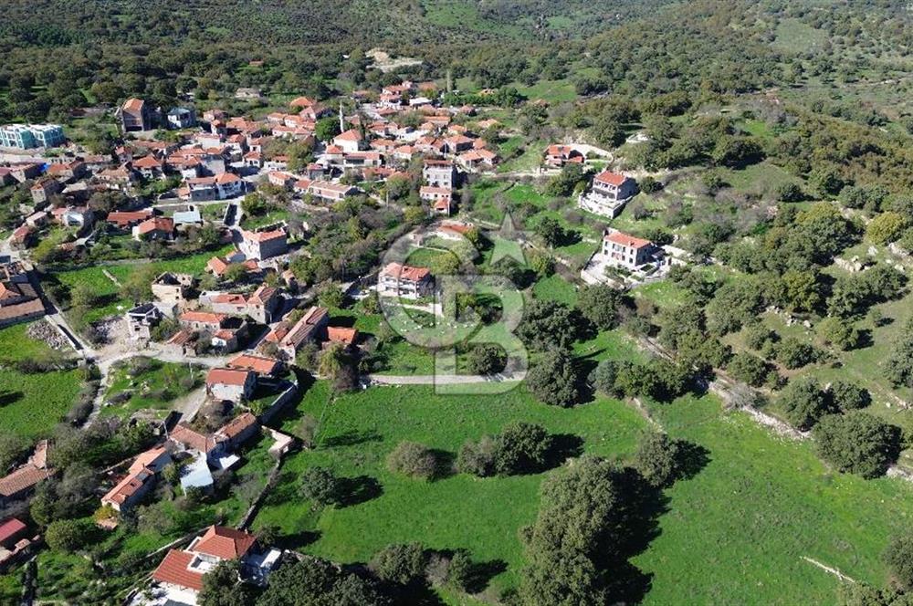 AYVACIK SÖĞÜTLÜ KÖY İÇİNDE İMARLI SATILIK 437 m² ARSA