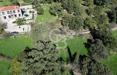 AYVACIK SÖĞÜTLÜ KÖY İÇİNDE İMARLI SATILIK 437 m² ARSA