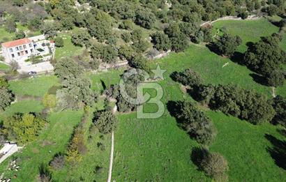 AYVACIK SÖĞÜTLÜ KÖY İÇİNDE İMARLI SATILIK 437 m² ARSA