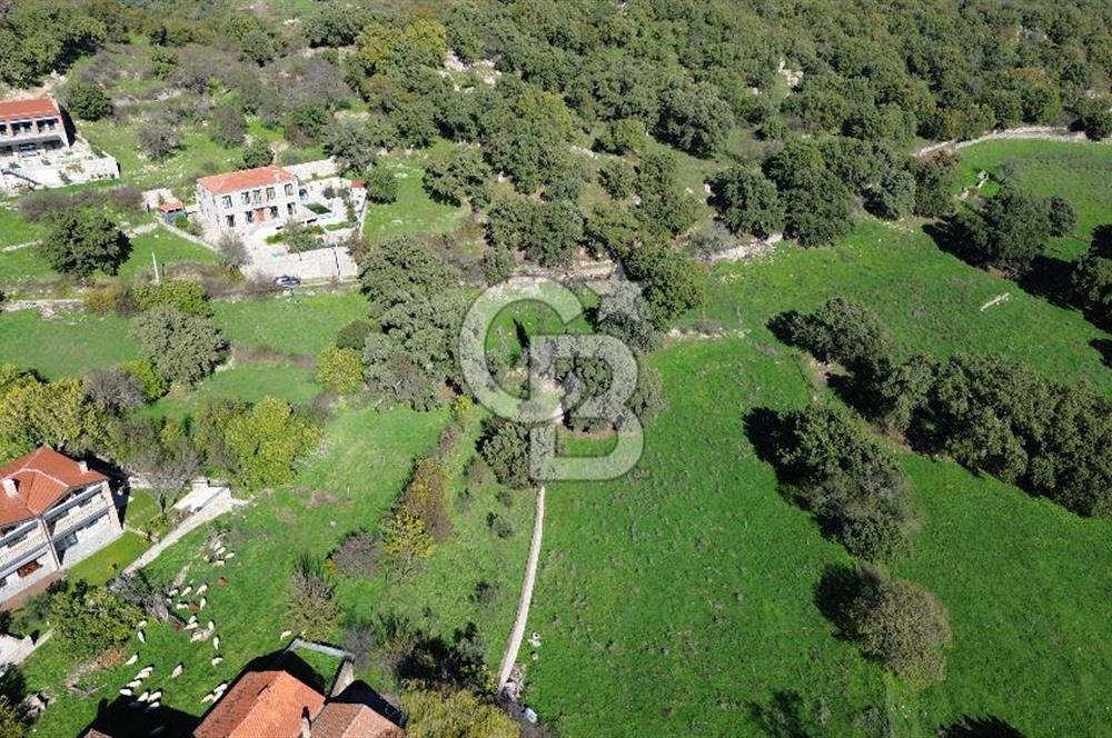 AYVACIK SÖĞÜTLÜ KÖY İÇİNDE İMARLI SATILIK 437 m² ARSA