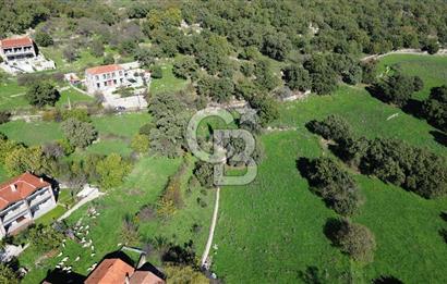 AYVACIK SÖĞÜTLÜ KÖY İÇİNDE İMARLI SATILIK ARSA