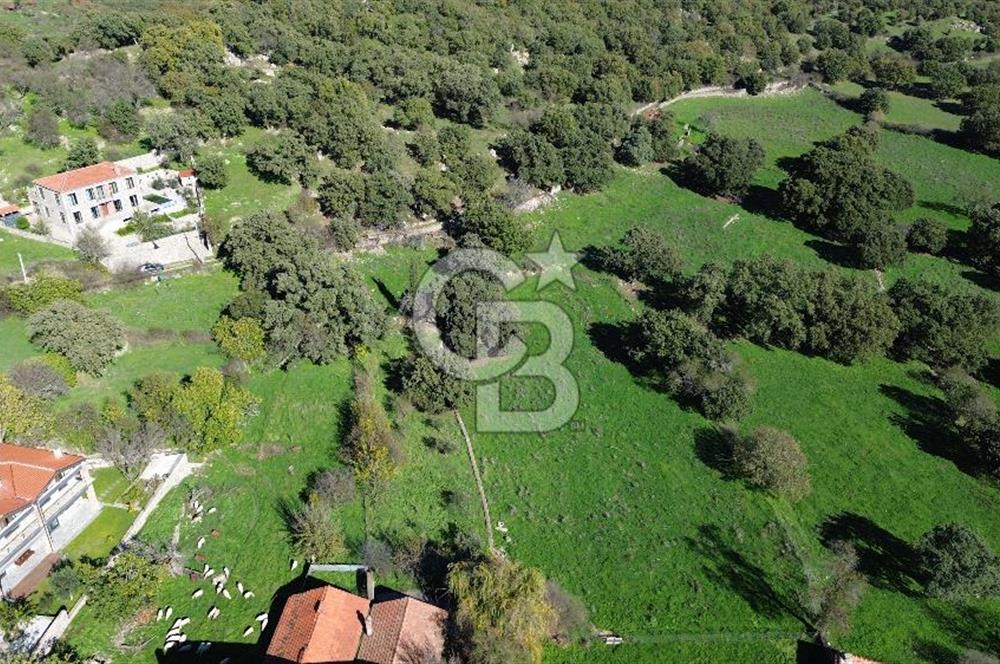 AYVACIK SÖĞÜTLÜ KÖY İÇİNDE İMARLI SATILIK 437 m² ARSA