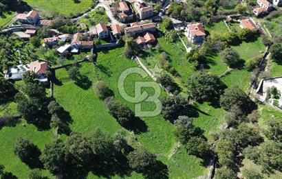 AYVACIK SÖĞÜTLÜ KÖY İÇİNDE İMARLI SATILIK ARSA