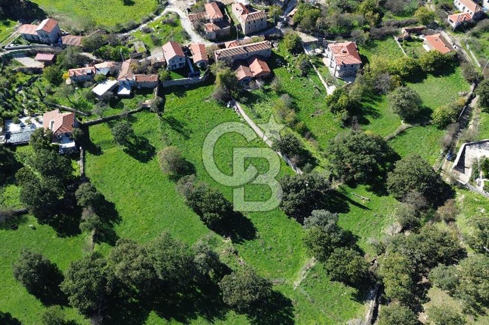 AYVACIK SÖĞÜTLÜ KÖY İÇİNDE İMARLI SATILIK 437 m² ARSA