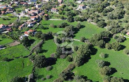 AYVACIK SÖĞÜTLÜ KÖY İÇİNDE İMARLI SATILIK 437 m² ARSA