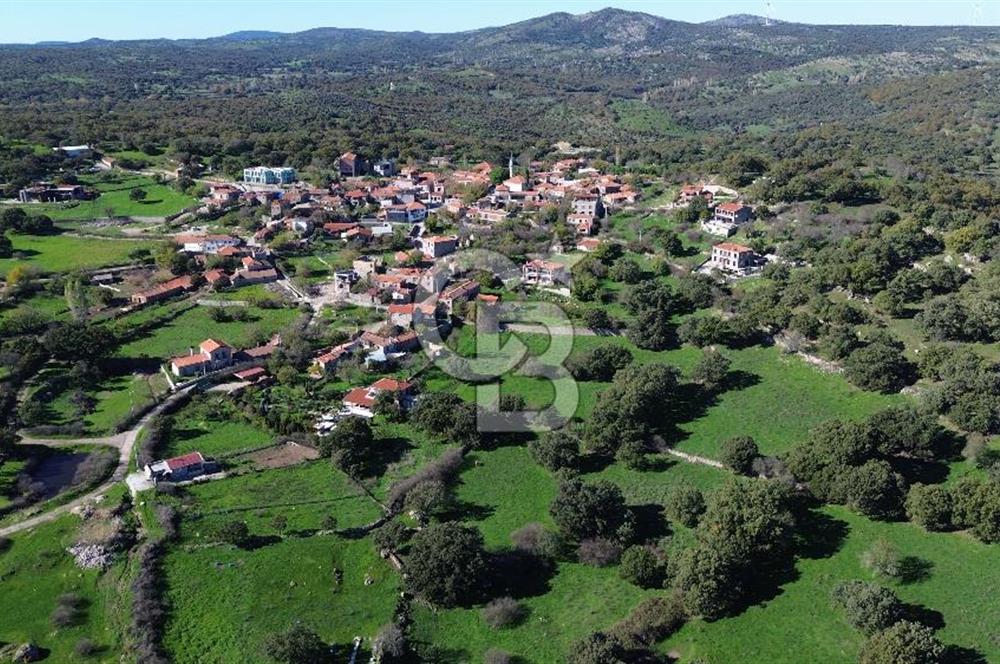 AYVACIK SÖĞÜTLÜ KÖY İÇİNDE İMARLI SATILIK 437 m² ARSA