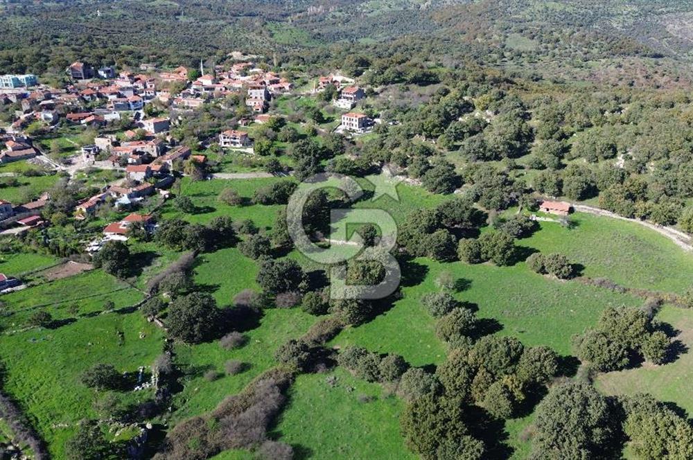 AYVACIK SÖĞÜTLÜ KÖY İÇİNDE İMARLI SATILIK ARSA