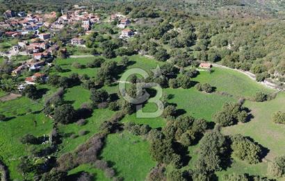 AYVACIK SÖĞÜTLÜ KÖY İÇİNDE İMARLI SATILIK 437 m² ARSA