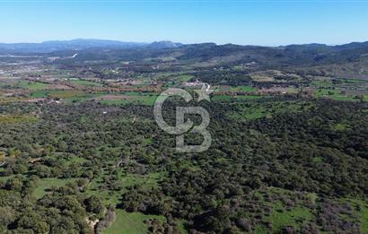 AYVACIK SÖĞÜTLÜ KÖY İÇİNDE İMARLI SATILIK 437 m² ARSA