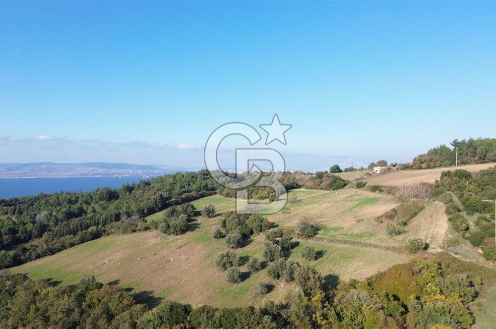 LAPSEKİ GÖKKÖY'DE 25 DÖNÜM SATILIK ARAZİ