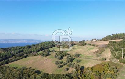 LAPSEKİ GÖKKÖY'DE 25 DÖNÜM SATILIK ARAZİ