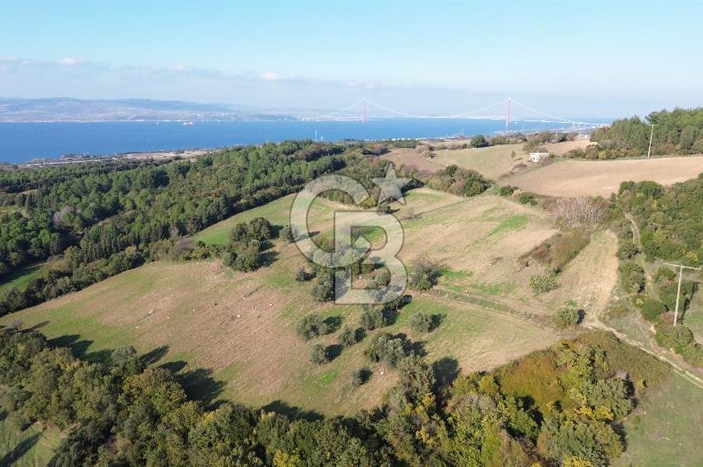 LAPSEKİ GÖKKÖY'DE 25 DÖNÜM SATILIK ARAZİ