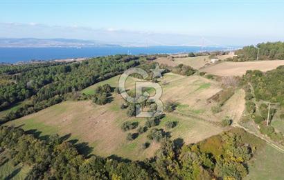 LAPSEKİ GÖKKÖY'DE 25 DÖNÜM SATILIK ARAZİ