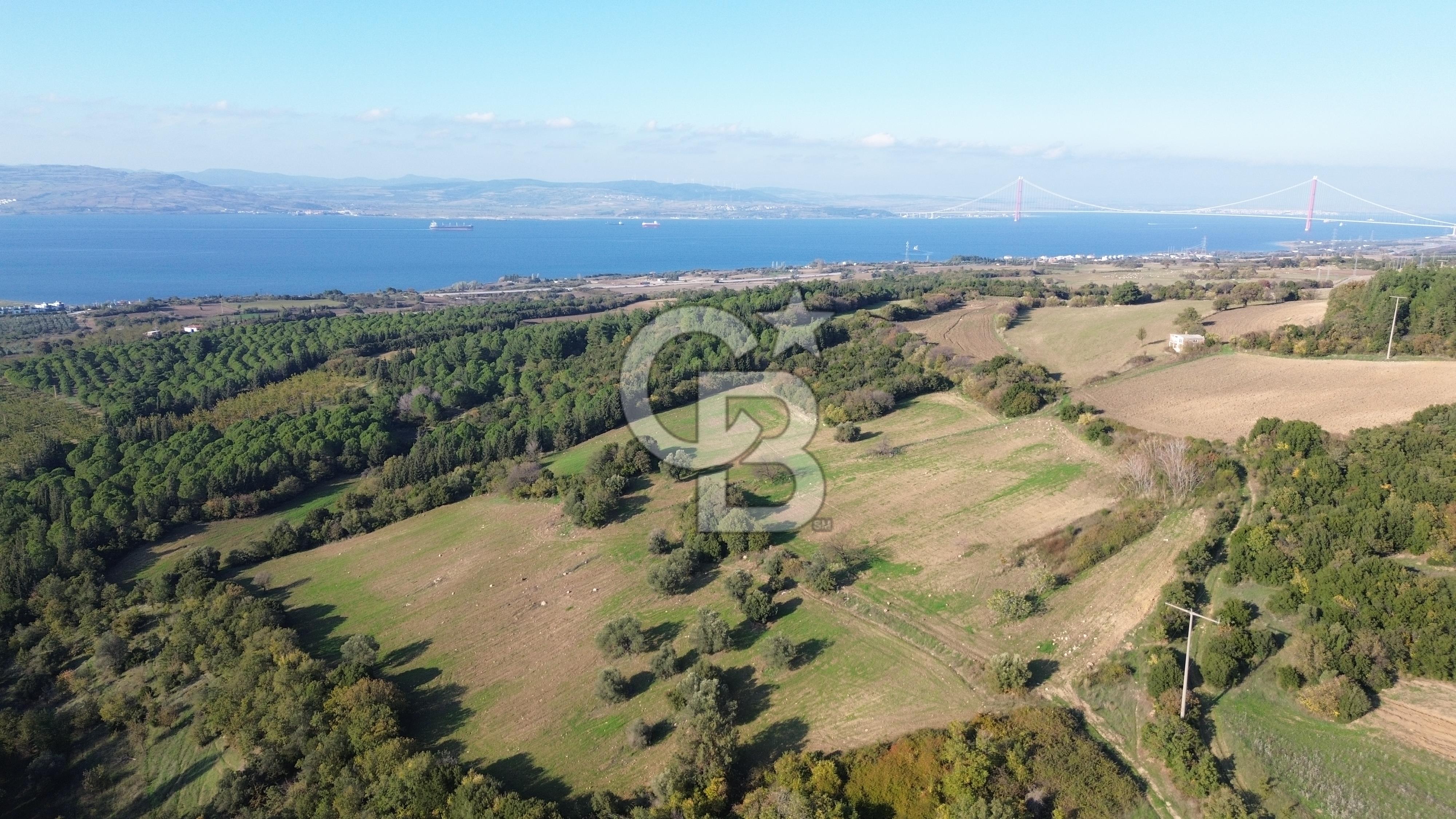 LAPSEKİ GÖKKÖY'DE 25 DÖNÜM SATILIK ARAZİ