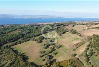 LAPSEKİ GÖKKÖY'DE 25 DÖNÜM SATILIK ARAZİ - 1 - 318930