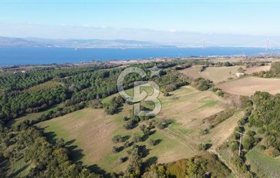 LAPSEKİ GÖKKÖY'DE 25 DÖNÜM SATILIK ARAZİ