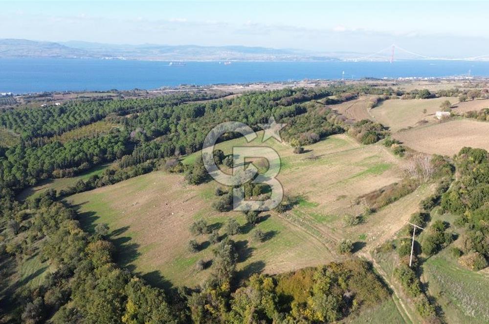 LAPSEKİ GÖKKÖY'DE 25 DÖNÜM SATILIK ARAZİ