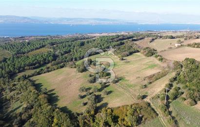 LAPSEKİ GÖKKÖY'DE 25 DÖNÜM SATILIK ARAZİ