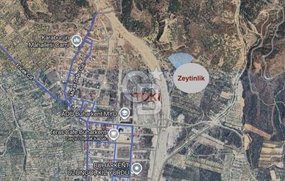 Satılık Yüksek verimli  Zeytinlik