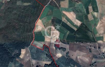 MUDANYA SÖĞÜTPINAR DA İMARA YAKIN SATILIK TARLA