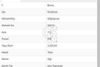 MUDANYA SÖĞÜTPINAR DA İMARA YAKIN SATILIK TARLA - 5 - 318911