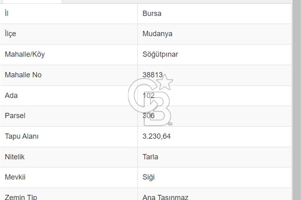 MUDANYA SÖĞÜTPINAR DA İMARA YAKIN SATILIK TARLA