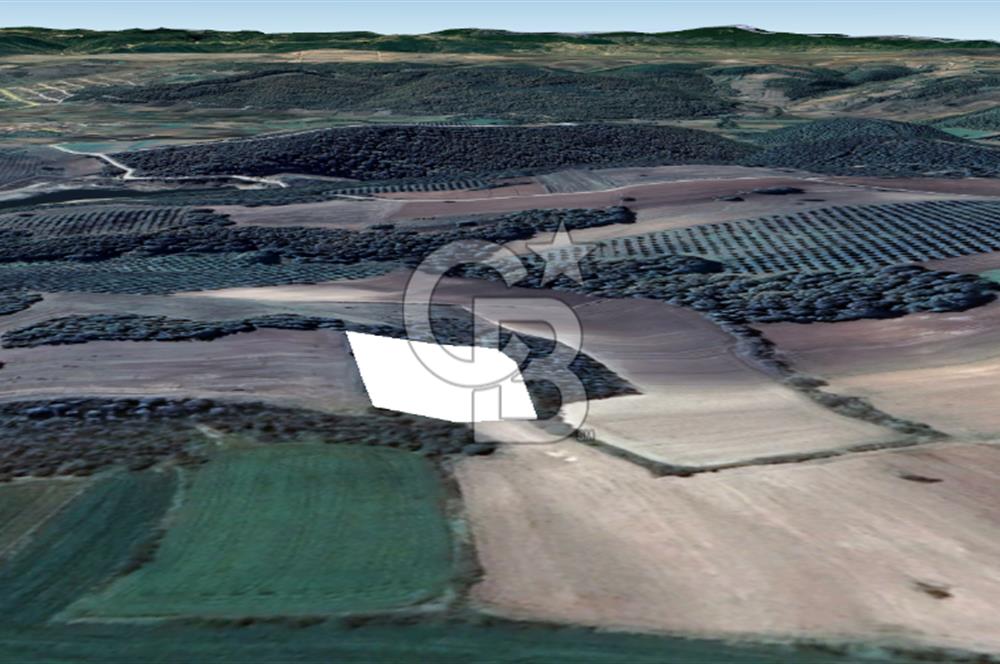 MUDANYA SÖĞÜTPINAR DA İMARA YAKIN SATILIK TARLA