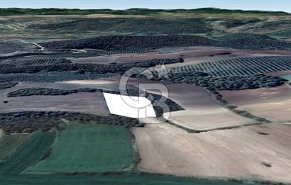 MUDANYA SÖĞÜTPINAR DA İMARA YAKIN SATILIK TARLA