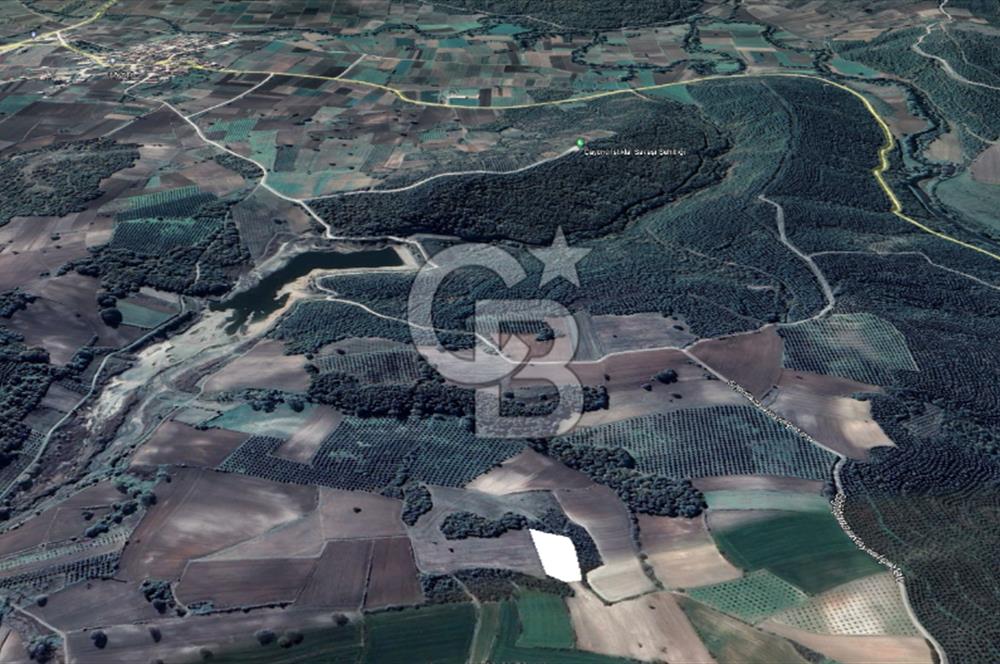 MUDANYA SÖĞÜTPINAR DA İMARA YAKIN SATILIK TARLA