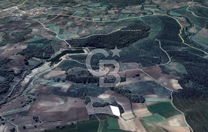 MUDANYA SÖĞÜTPINAR DA İMARA YAKIN SATILIK TARLA