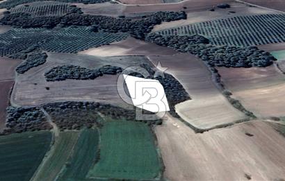 MUDANYA SÖĞÜTPINAR DA İMARA YAKIN SATILIK TARLA