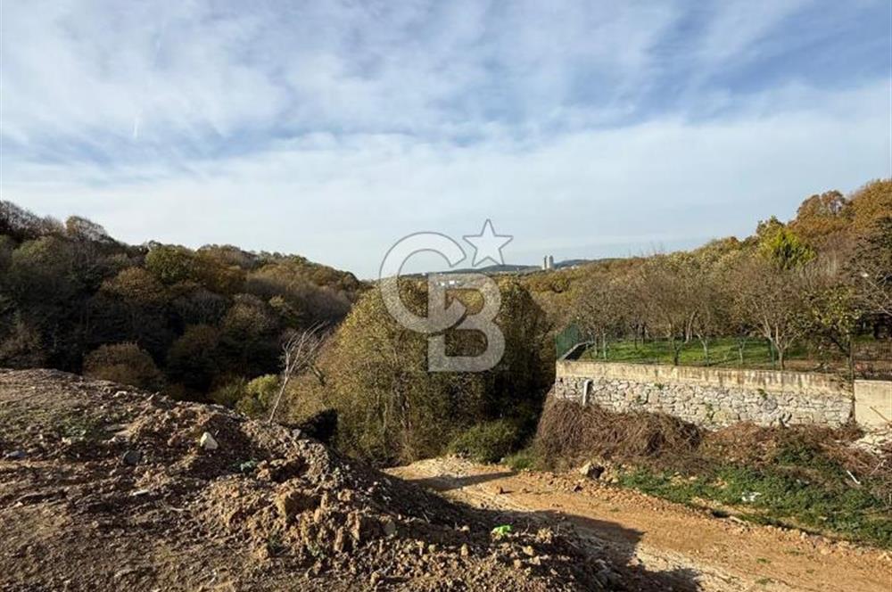 BEYKOZ ÇAVUŞBAŞINDA 6+2 SATILIK VİLLA