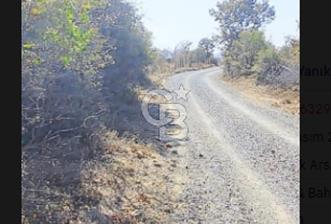 Bayramiç Yanıklarda Köye 600m, Yola Cepheli 3.300 m² Bağ - 2 - 318922