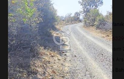 Bayramiç Yanıklarda Köye 600m, Yola Cepheli 3.300 m² Bağ