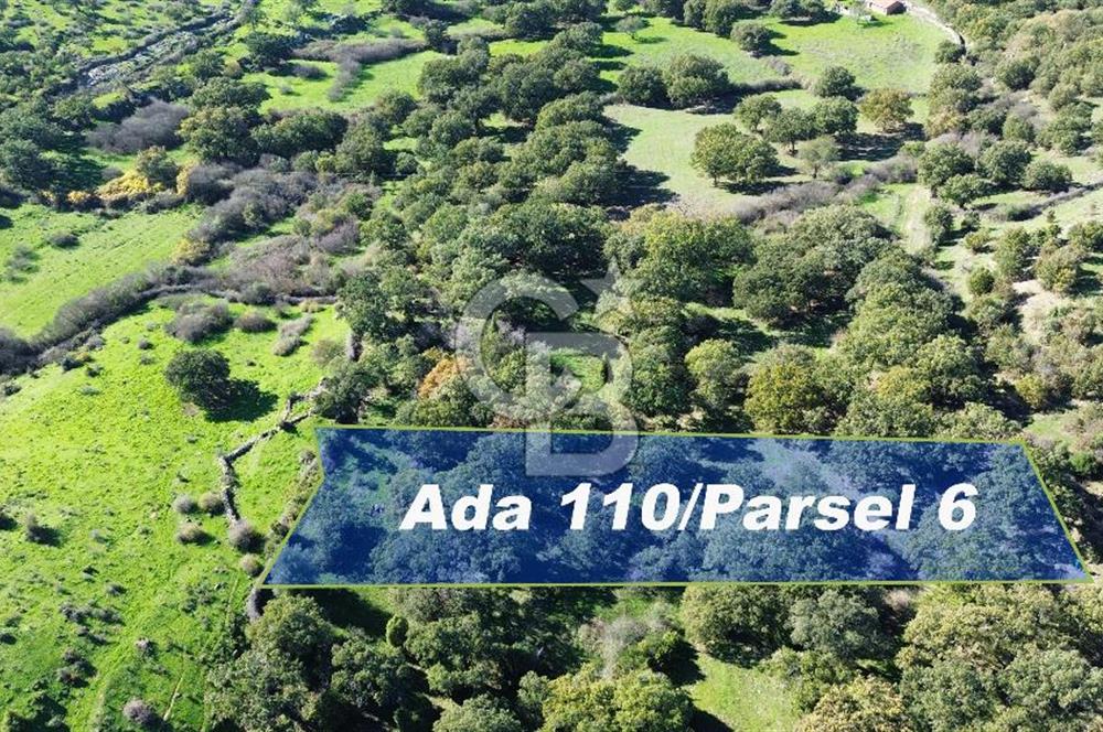 AYVACIK SÖĞÜTLÜ KÖYÜNDE 1794 M² SATILIK TARLA