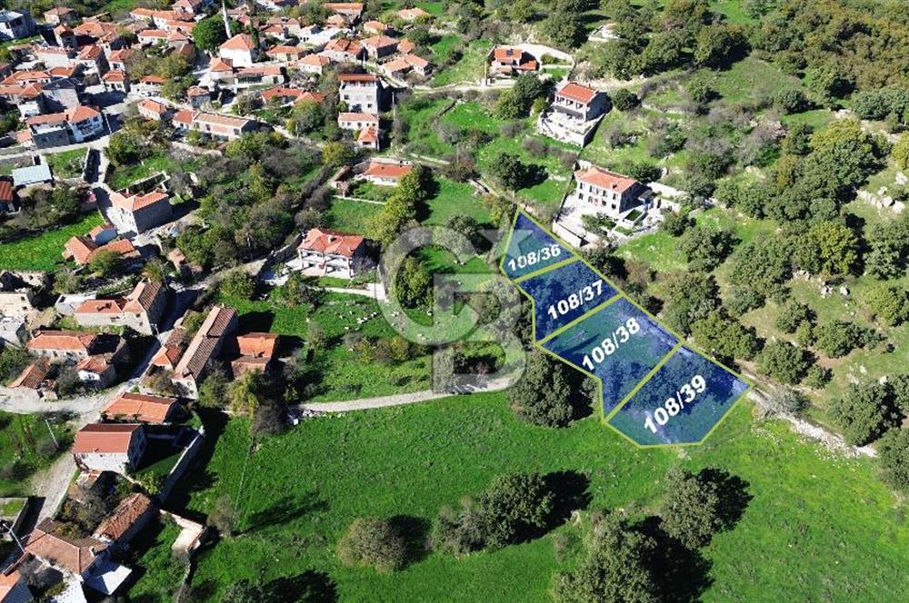 AYVACIK SÖĞÜTLÜ KÖY İÇİNDE İMARLI SATILIK 693m² ARSA