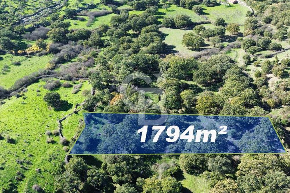 AYVACIK SÖĞÜTLÜ KÖYÜNDE 1794 M² SATILIK TARLA