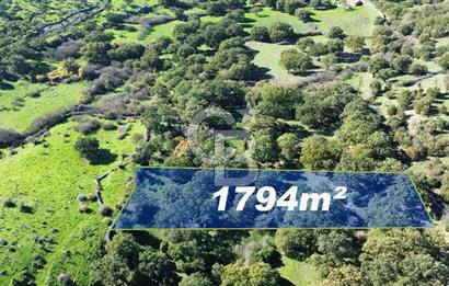 AYVACIK SÖĞÜTLÜ KÖYÜNDE 1794 M² SATILIK TARLA