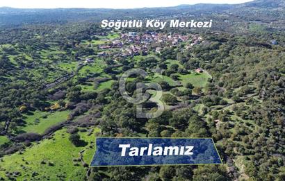 AYVACIK SÖĞÜTLÜ KÖYÜNDE 1794 M² SATILIK TARLA