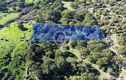 AYVACIK SÖĞÜTLÜ KÖYÜNDE 1794 M² SATILIK TARLA