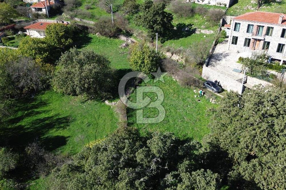 AYVACIK SÖĞÜTLÜ KÖY İÇİNDE İMARLI SATILIK 693m² ARSA