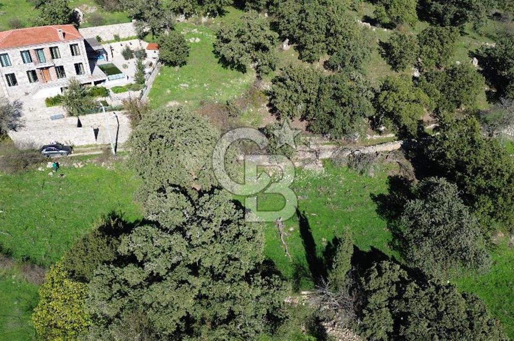 AYVACIK SÖĞÜTLÜ KÖY İÇİNDE İMARLI SATILIK 693m² ARSA